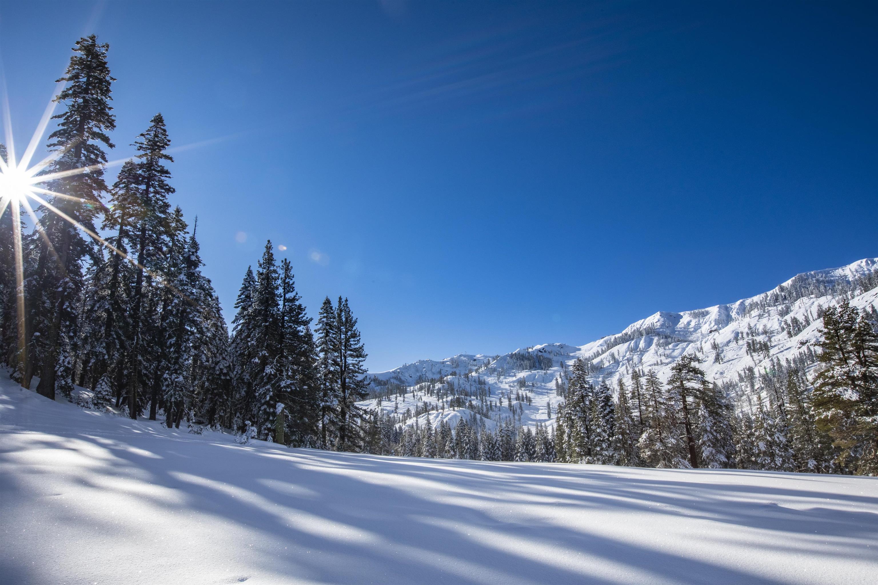Xxxxx Alpine Meadows Road Olympic Valley, CA 96146 - Photo 20 of 20 a view of a house with a mountain
