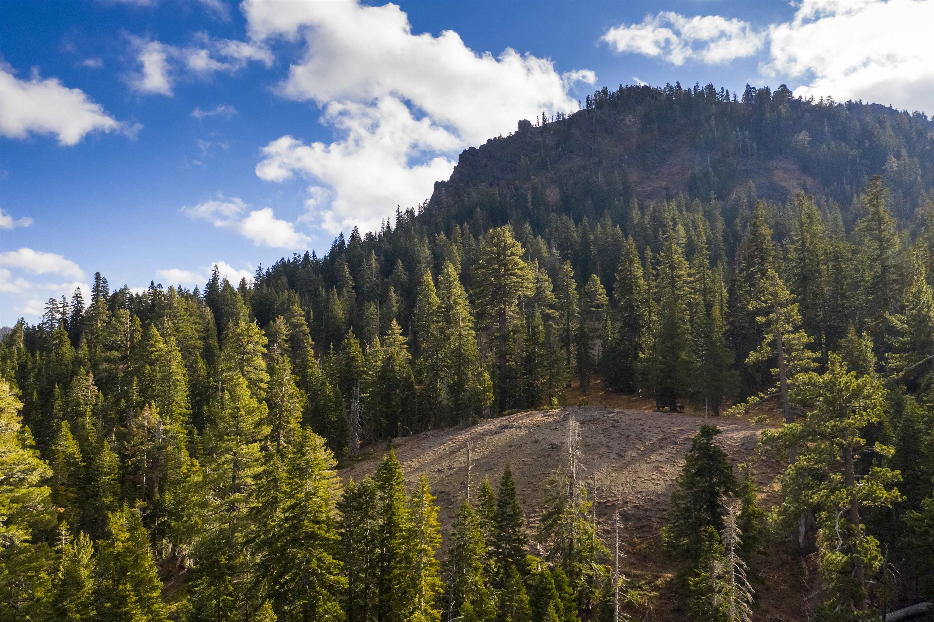 Xxxxx Alpine Meadows Road Olympic Valley, CA 96146 - Photo 5 of 20 a view of a yard with a tree