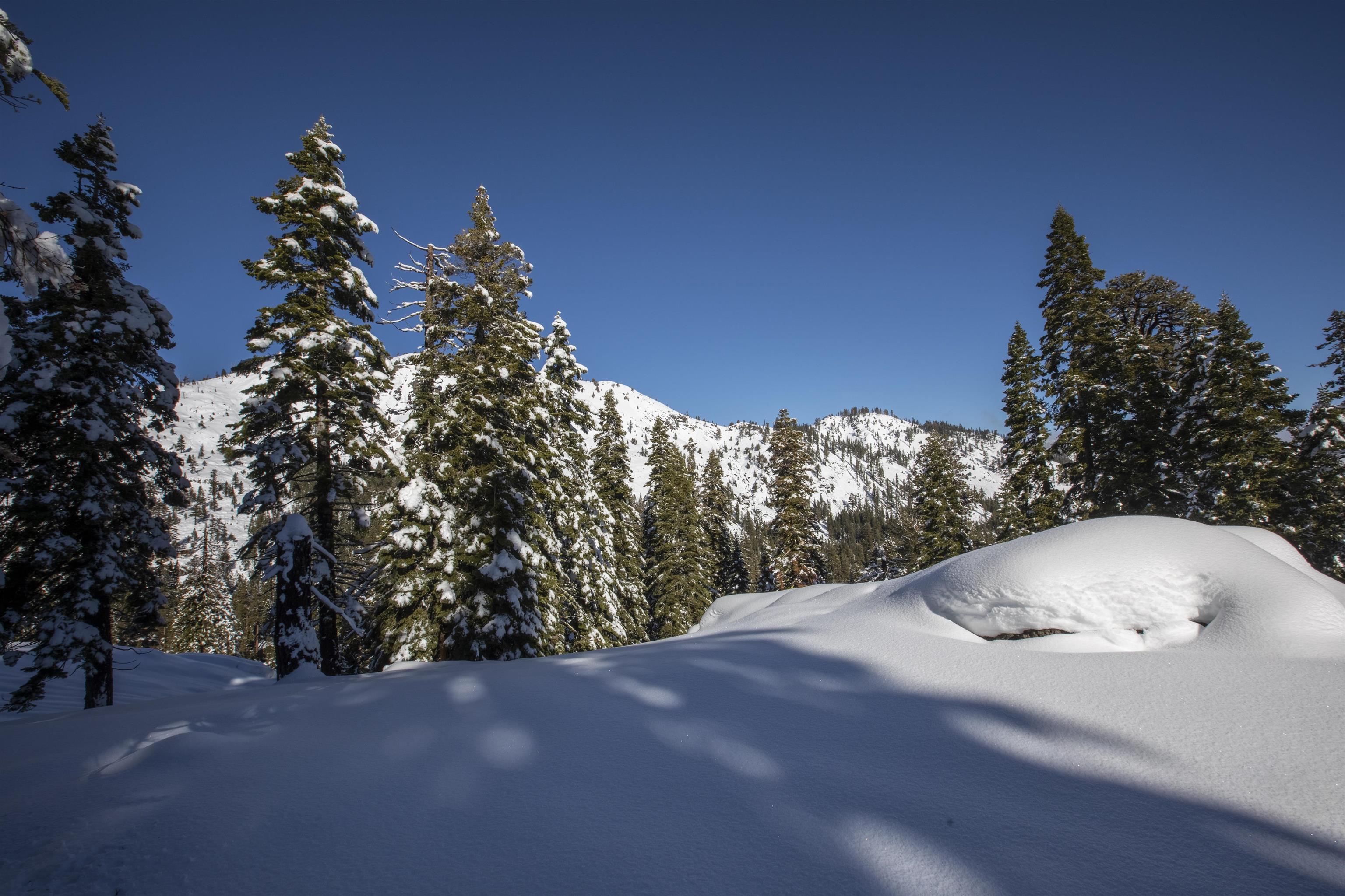 Xxxxx Alpine Meadows Road Olympic Valley, CA 96146 - Photo 7 of 20 a view of outdoor space and yard
