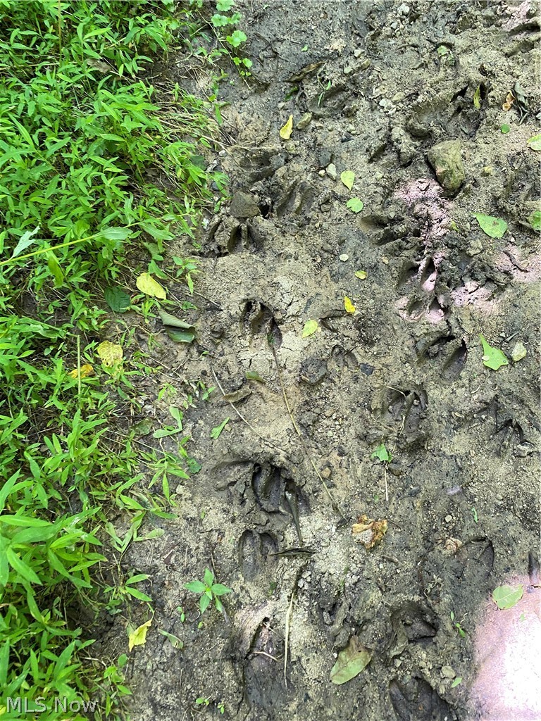 Ashton Hill Road Caldwell, OH 43724 - Photo 23 of 26