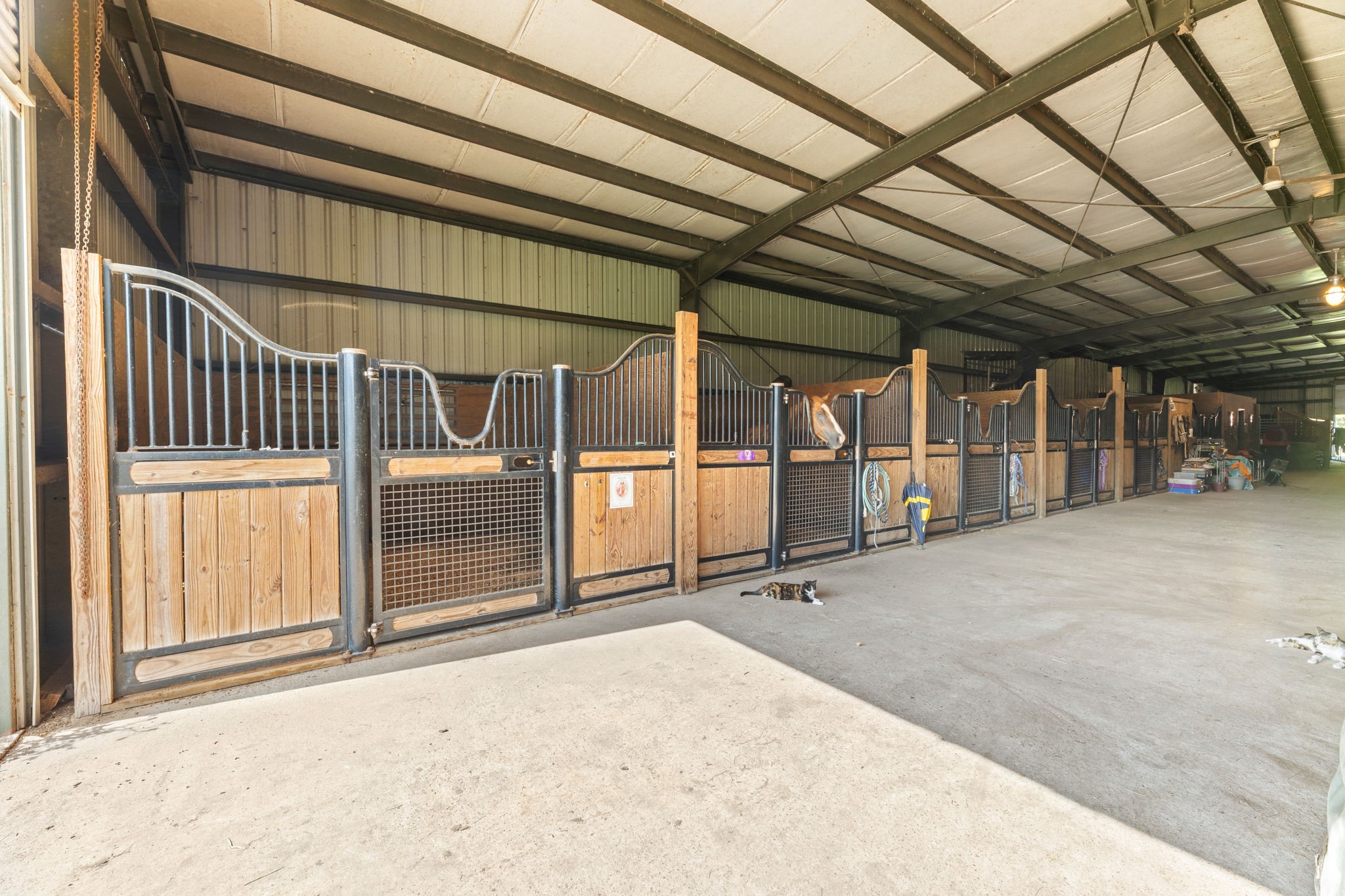 1226 County Road 45 Angleton, TX 77515 - Photo 30 of 30 a view of an empty room