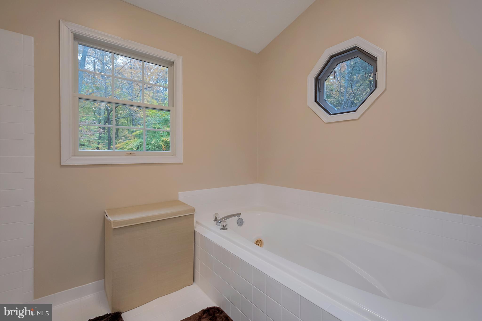 6646 Fox Den Road Manassas, VA 20112 - Photo 17 of 30 Bath (Master)