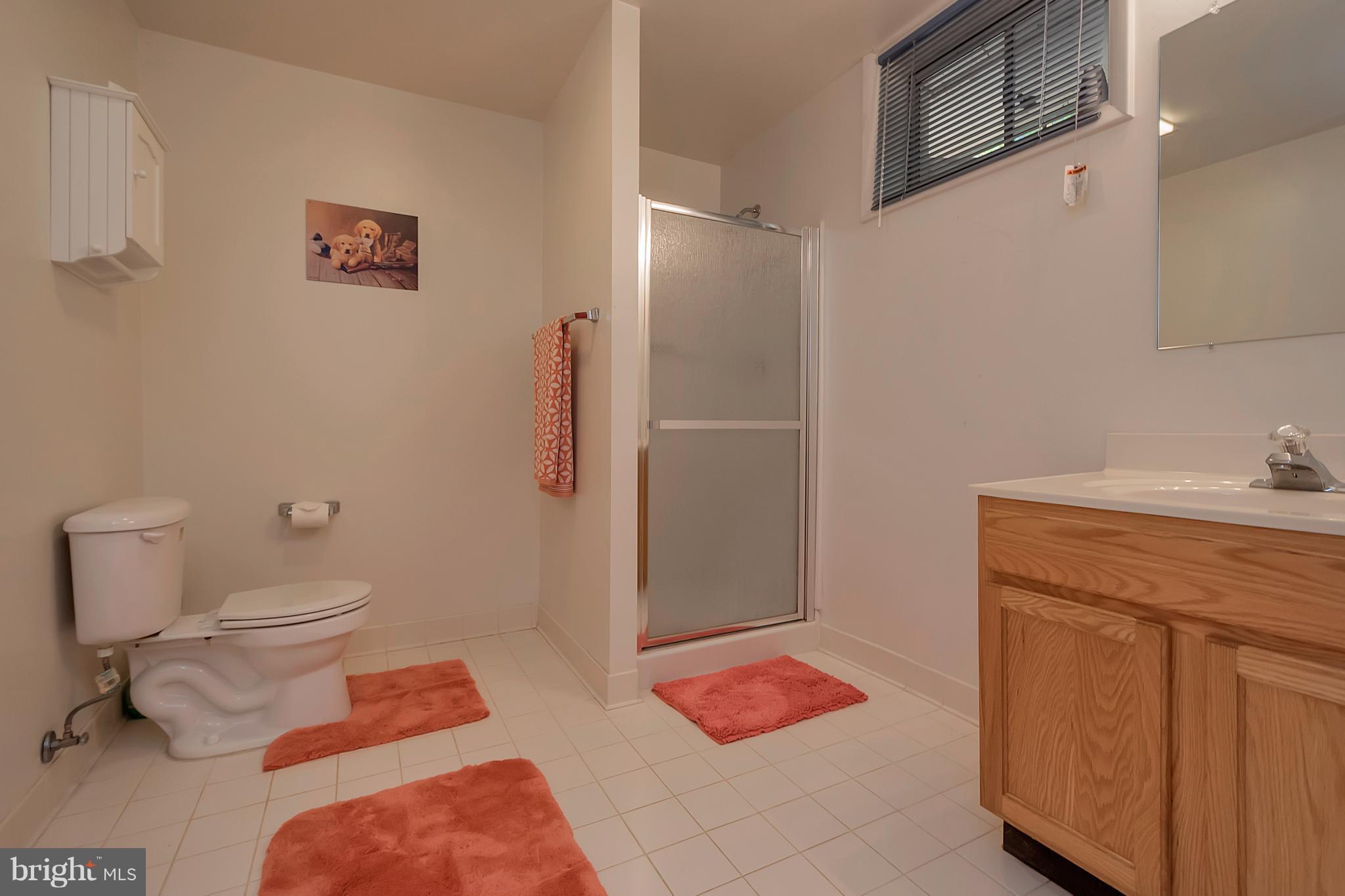 6646 Fox Den Road Manassas, VA 20112 - Photo 30 of 30 Full Bath Lower Level