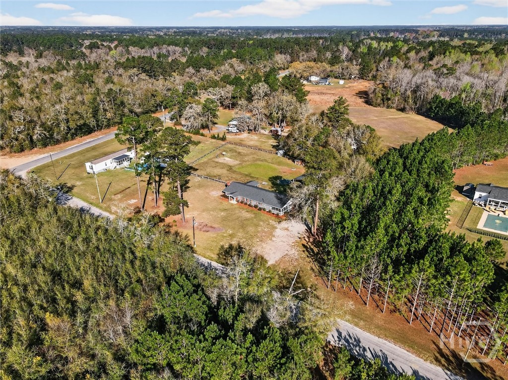 121 Green Morgan School Road Springfield, GA 31329 - Photo 42 of 48