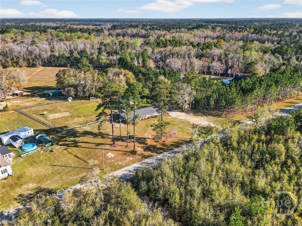 121 Green Morgan School Road Springfield, GA 31329 - Photo 43 of 48