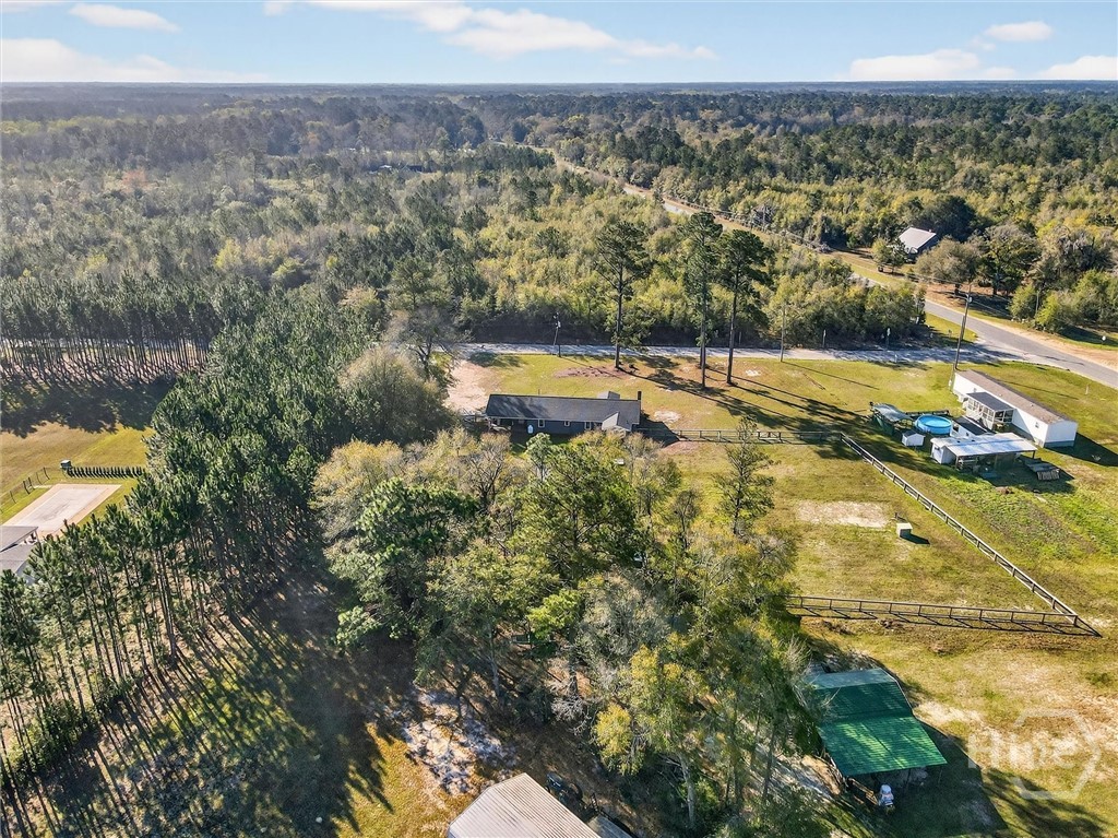 121 Green Morgan School Road Springfield, GA 31329 - Photo 45 of 48