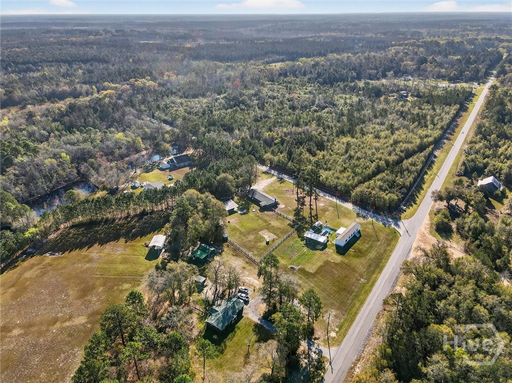 121 Green Morgan School Road Springfield, GA 31329 - Photo 47 of 48