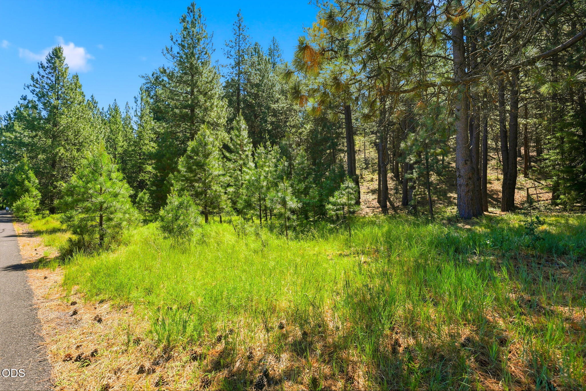 Undisclosed Address Bend, OR 97702 - Photo 18 of 26