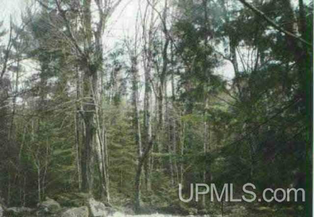 Tbd Off Craig Lake Road Michigamme, MI 49861 - Photo 3 of 23