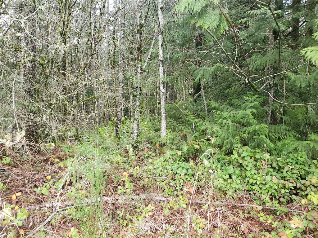 358-20 20 Halliday Road Centralia, WA 98531 - Photo 2 of 3 Gallery Image 2