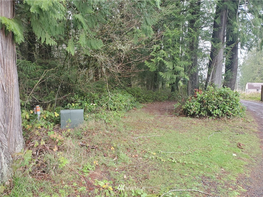 358-20 20 Halliday Road Centralia, WA 98531 - Photo 3 of 3 Gallery Image 3