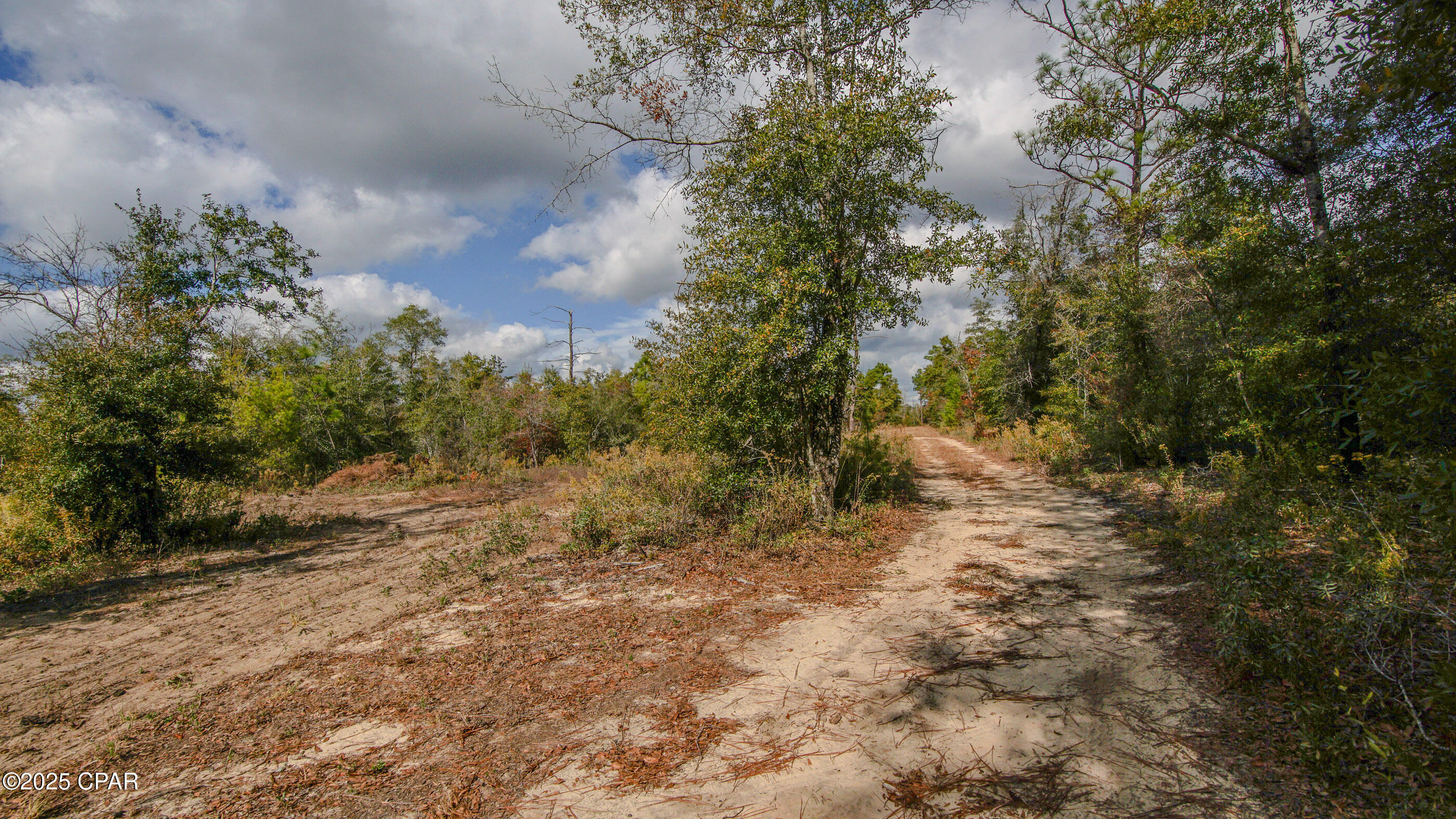12299 Nona Wood Road Fountain, FL 32438 - Photo 4 of 21