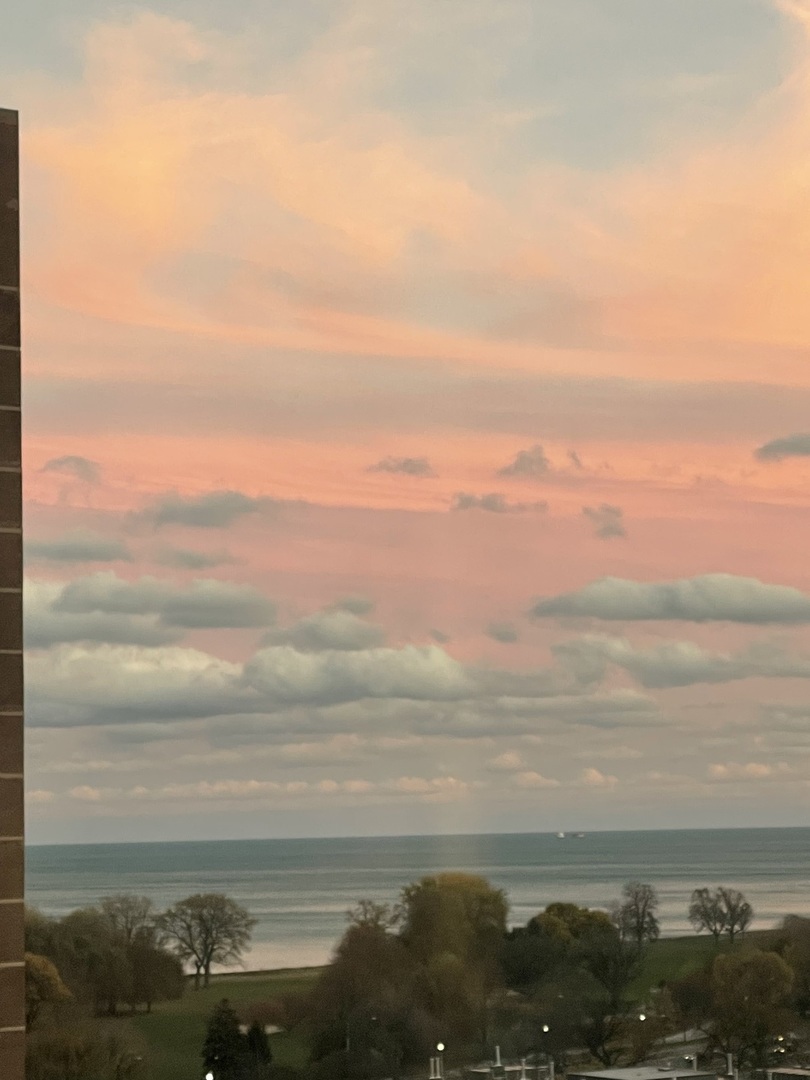 720 West Gordon Terrace, Unit 15N Chicago, IL 60613 - Photo 22 of 22 a view of city and ocean