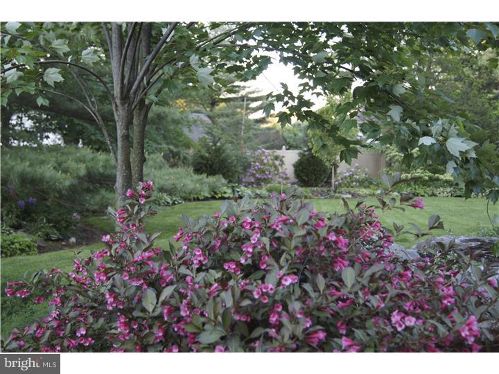3058 Barnsdale Road Bethlehem, PA 18017 - Photo 3 of 16 Gallery Image 3