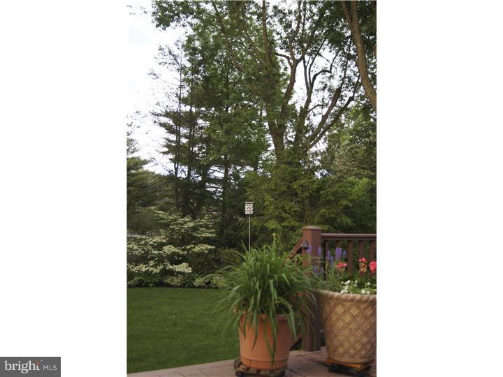 3058 Barnsdale Road Bethlehem, PA 18017 - Photo 4 of 16 Gallery Image 4