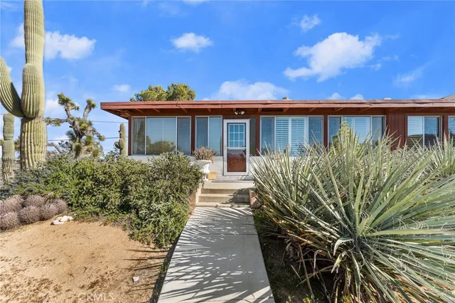 a view of a backyard with plants