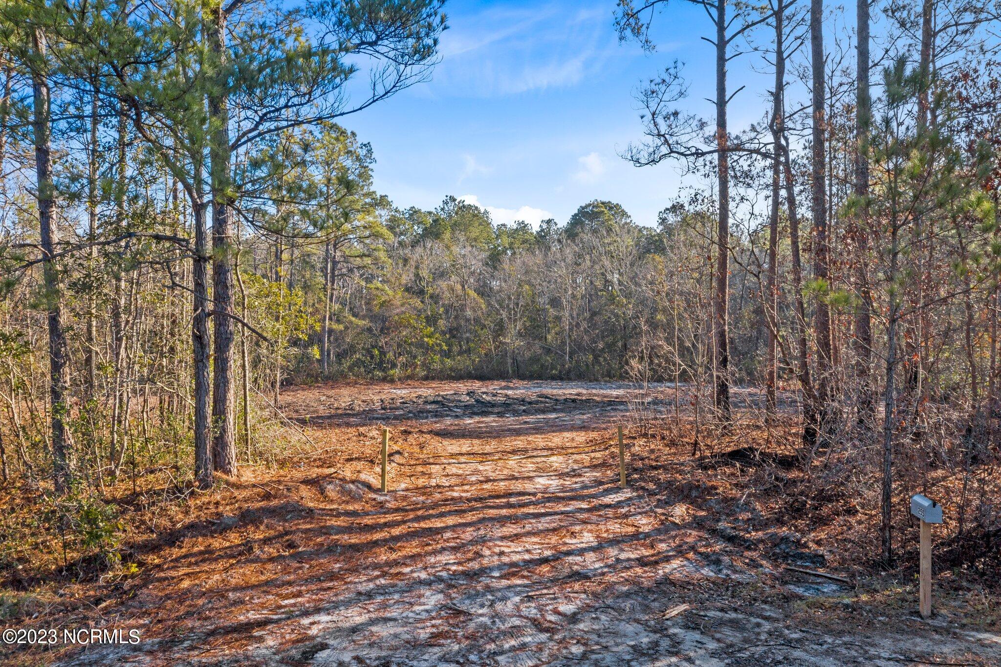 255 Newbold Road Jacksonville, NC 28540 - Photo 1 of 19 3-web-or-mls-DJI_0007