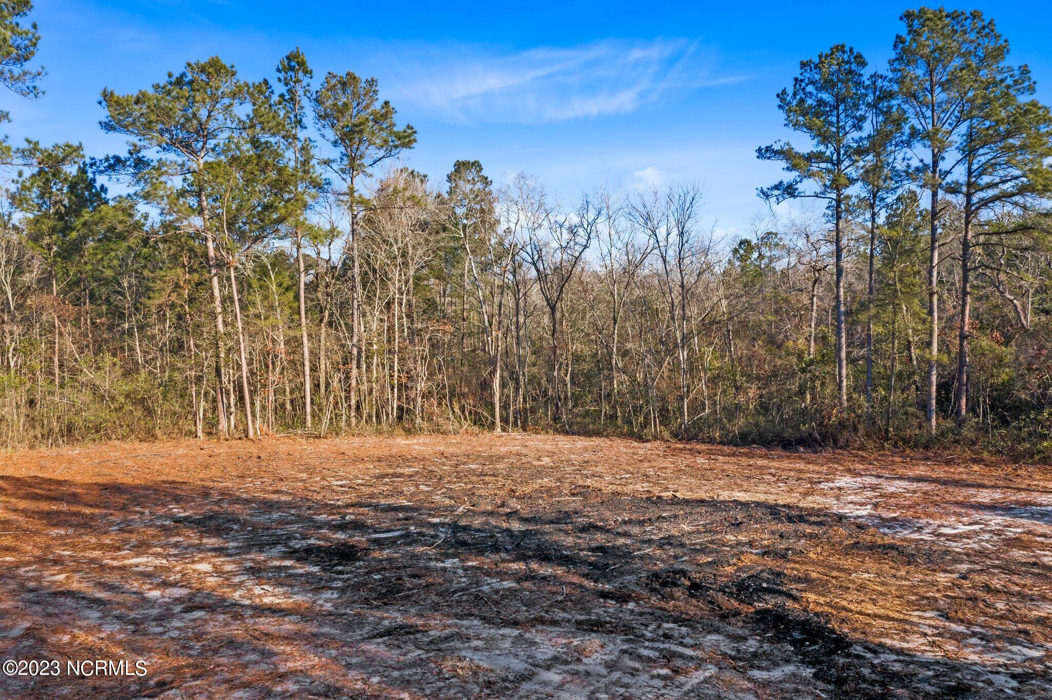 255 Newbold Road Jacksonville, NC 28540 - Photo 2 of 19 4-web-or-mls-DJI_0008