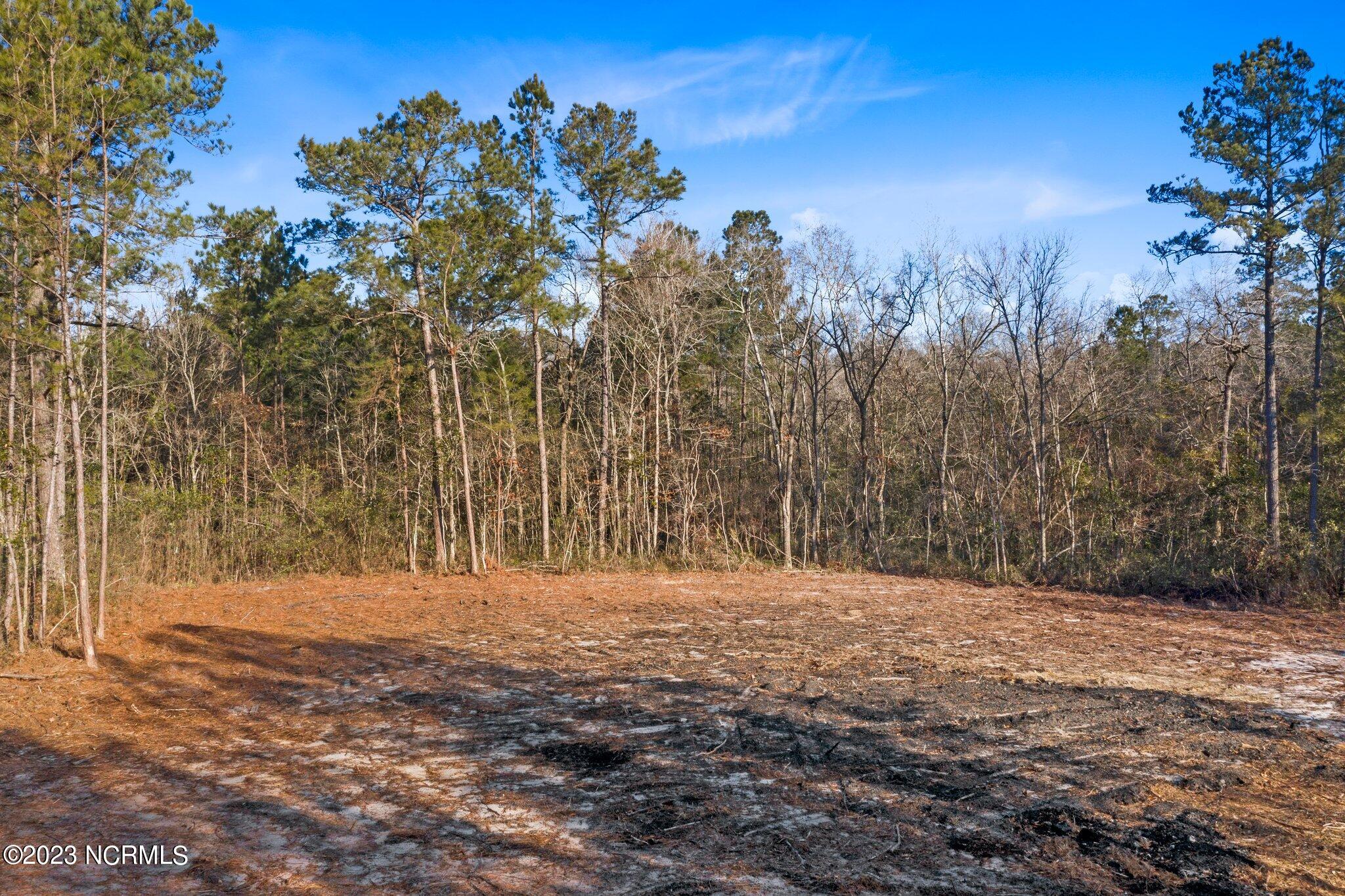 255 Newbold Road Jacksonville, NC 28540 - Photo 5 of 19 7-web-or-mls-DJI_0011