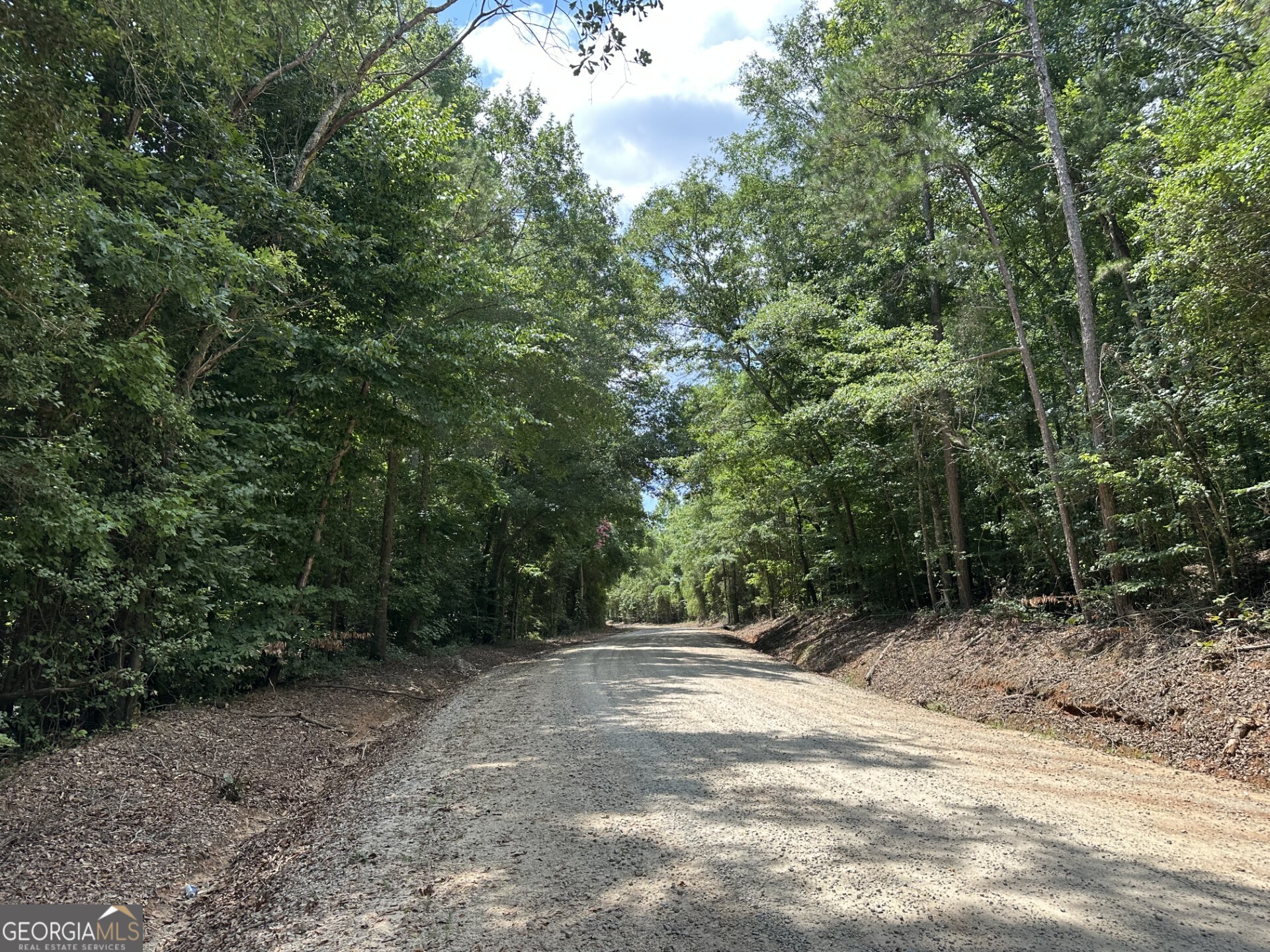 2200 Duffell Martin Road Comer, GA 30629 - Photo 19 of 21