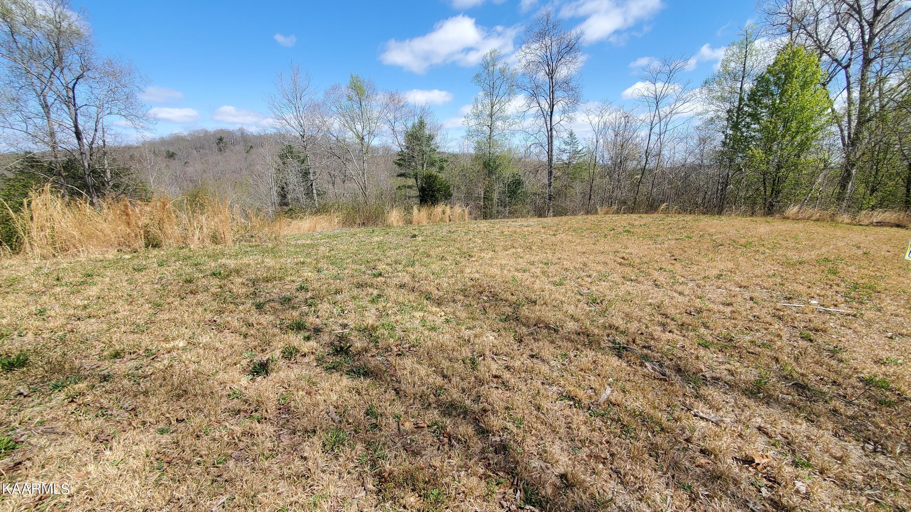 117 Holber Road Oak Ridge, TN 37830 - Photo 1 of 5 20220401_120949