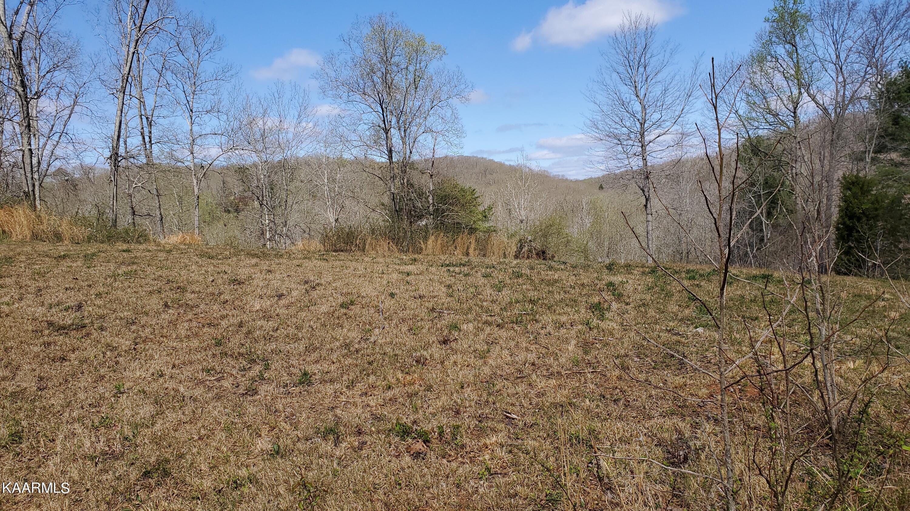 117 Holber Road Oak Ridge, TN 37830 - Photo 2 of 5 20220401_120851