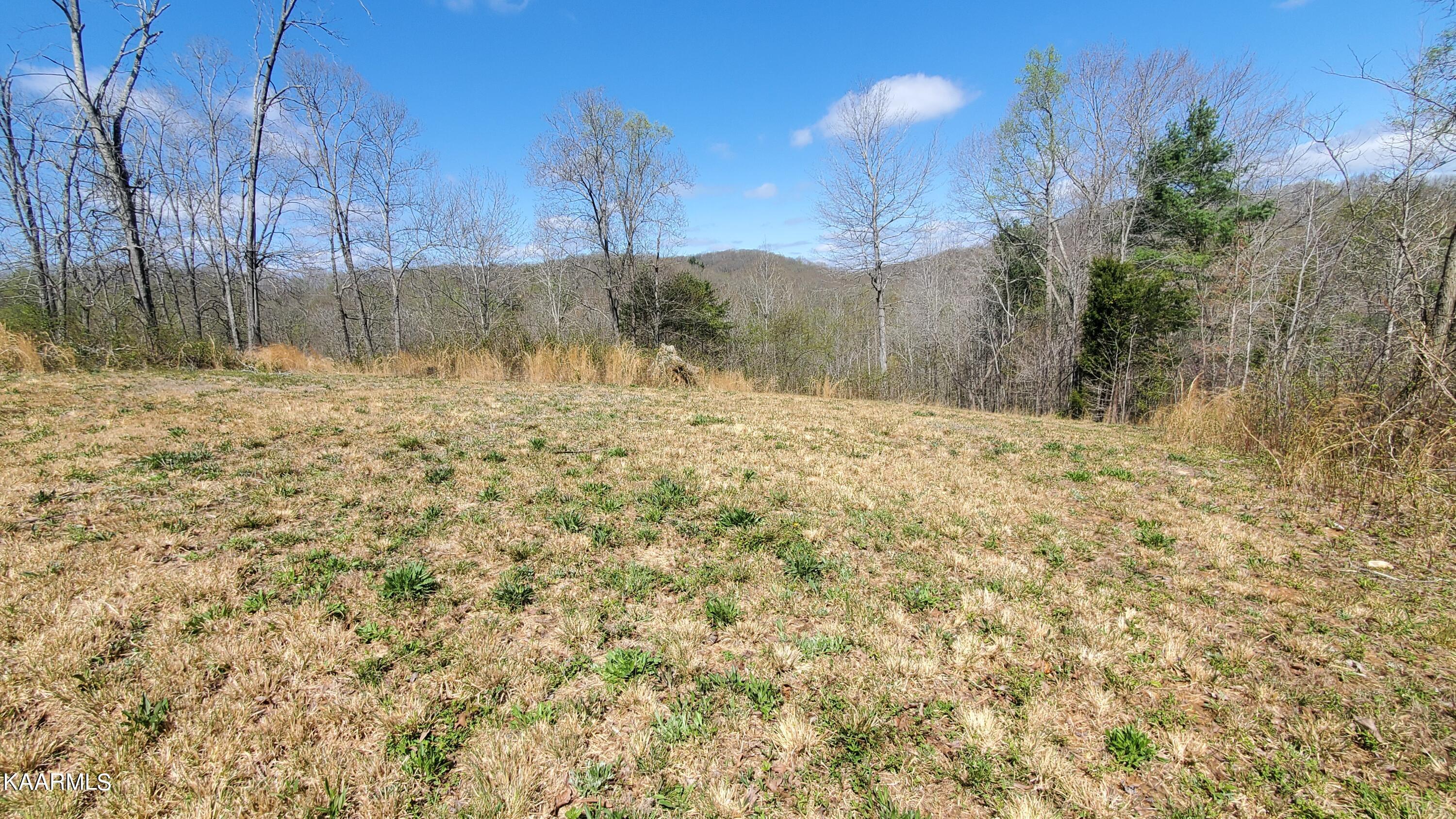 117 Holber Road Oak Ridge, TN 37830 - Photo 4 of 5 20220401_120912