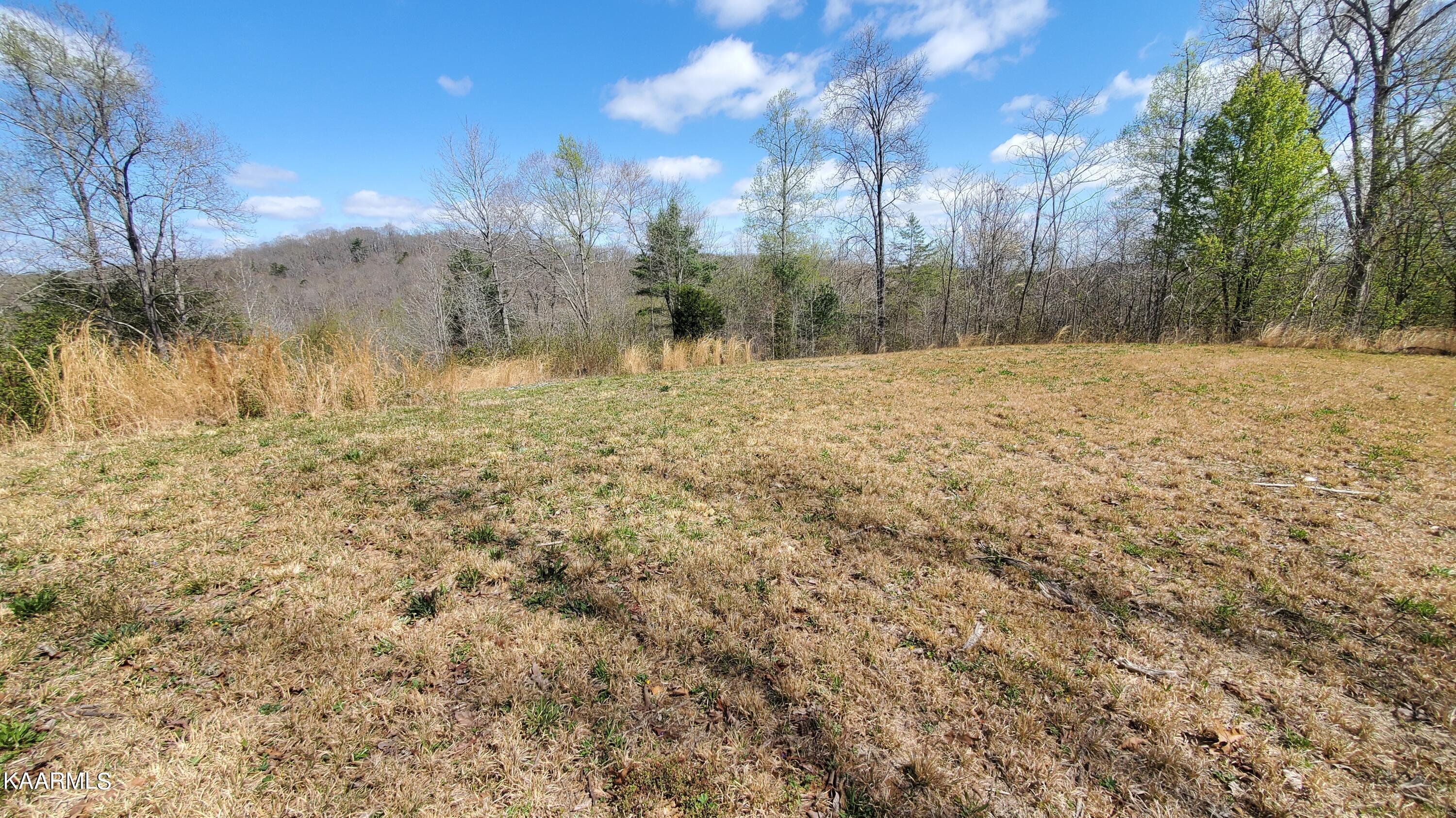 117 Holber Road Oak Ridge, TN 37830 - Photo 5 of 5 20220401_120948