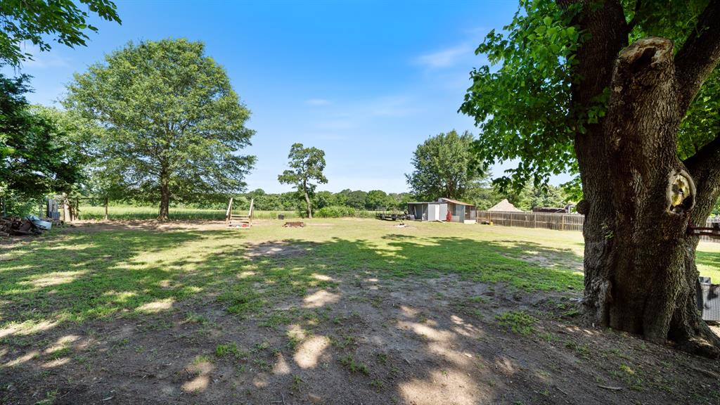 29080 Highway 19 Athens, TX 75752 - Photo 23 of 30 a view of outdoor space with garden view