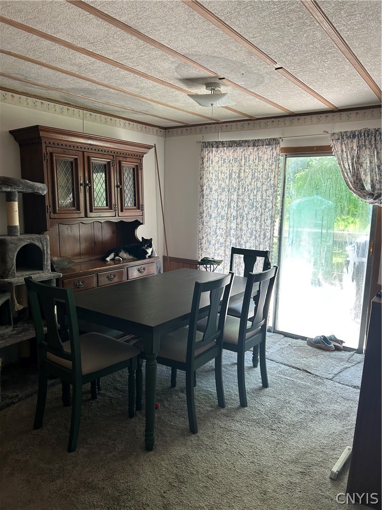 5003 Hamilton Road Elbridge, NY 13060 - Photo 7 of 15