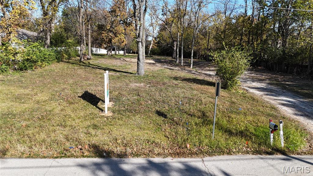 New Build New Build Forest St. Peters, MO 63376 - Photo 4 of 46