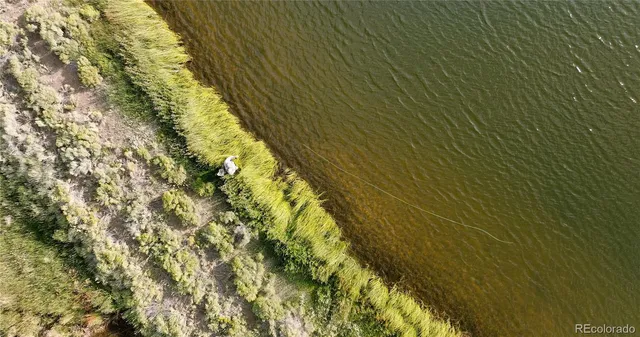 a view of a lush green space and lake