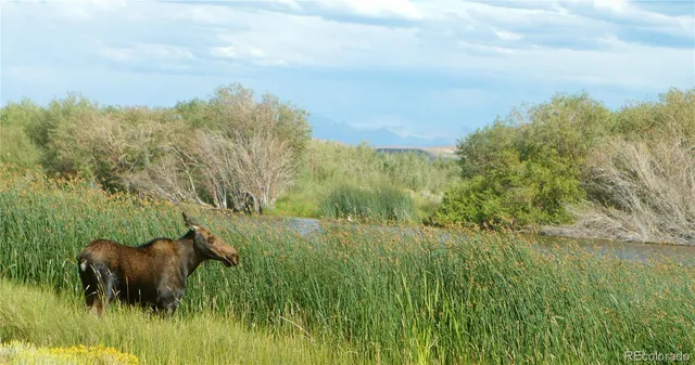 a view of ocean with mountains in background