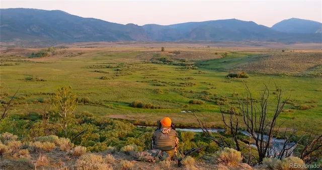 a close up of a plant