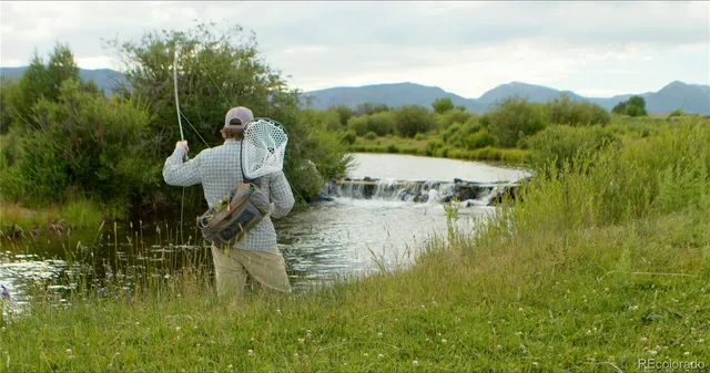 a view of a lake with a mountain in the background