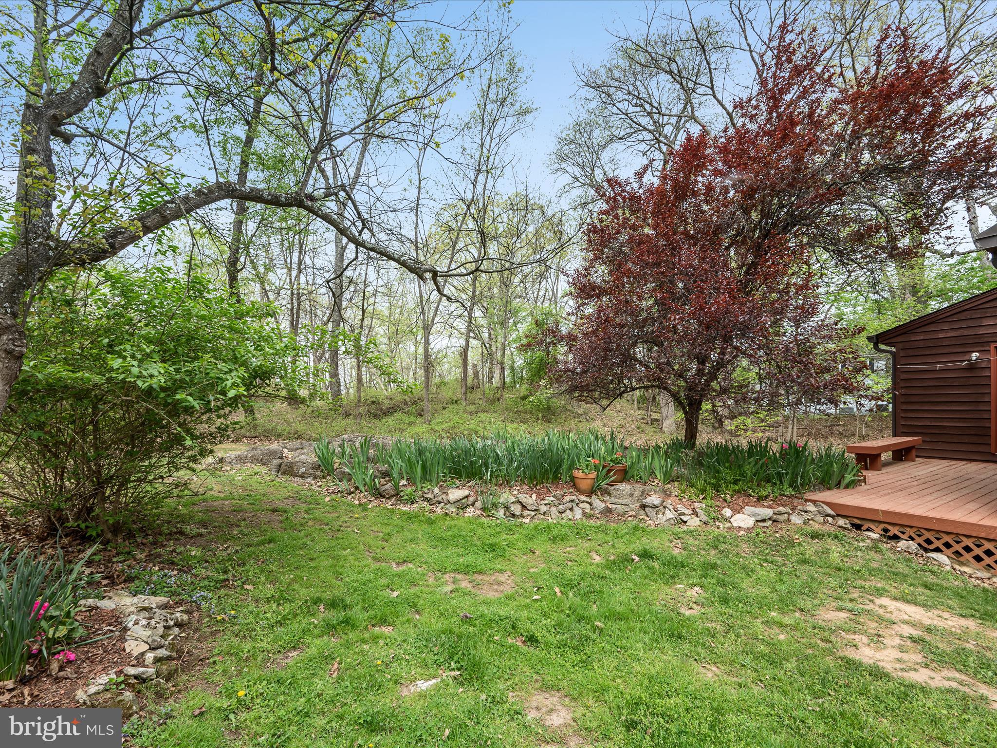 1201 Morgan Grove Road Shepherdstown, WV 25443 - Photo 22 of 70 Backyard