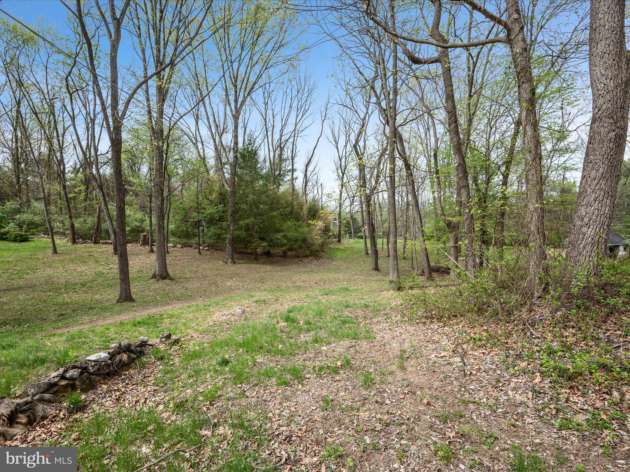 1201 Morgan Grove Road Shepherdstown, WV 25443 - Photo 24 of 70 Back Yard Area