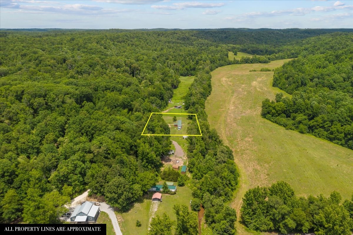 2900 Jack Branch Road Waverly, TN 37185 - Photo 28 of 51