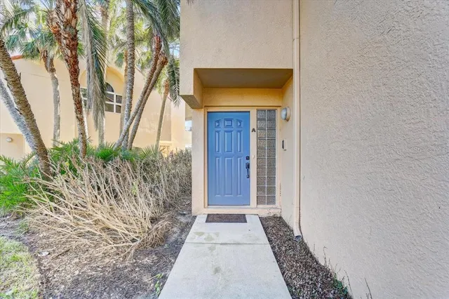 a house that has a tree in front of it