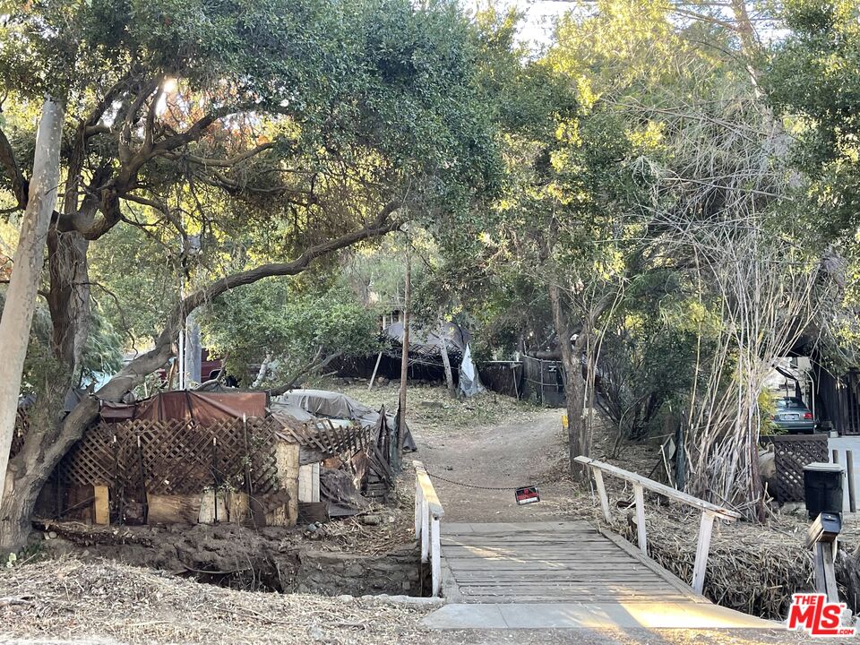 a view of a park with large trees
