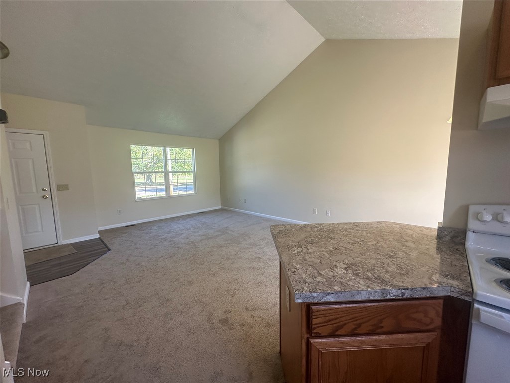 9137 Maple Grove Road Windham, OH 44288 - Photo 8 of 17 Unfurnished living room featuring vaulted ceiling and light colored carpet