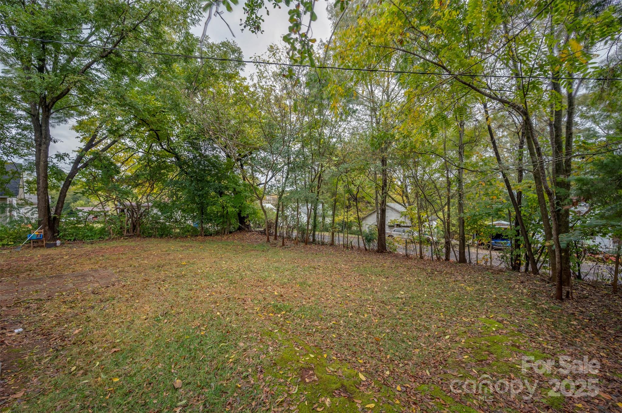 512 Spindale Street Spindale, NC 28160 - Photo 25 of 25 a view of a large tree with lots of trees