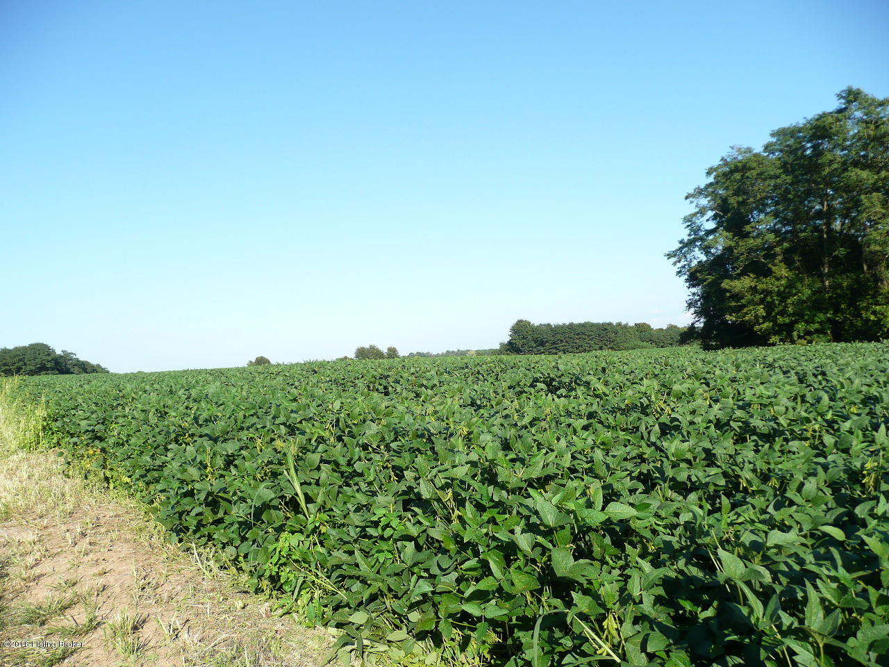 0 Brashears Point Road Taylorsville, KY 40071 - Photo 3 of 7 Beautiful