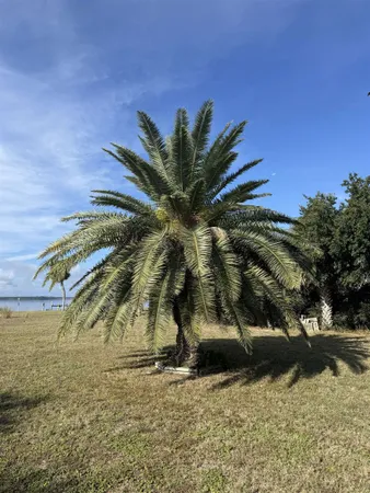 $425,000 | Sunrise Lane, Unit IV, Panacea, FL 32346