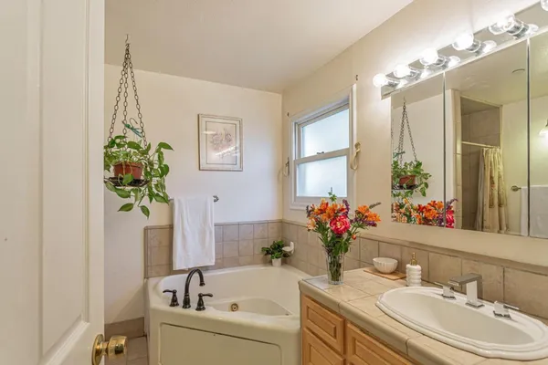 a bathroom with a bathtub sink and mirror