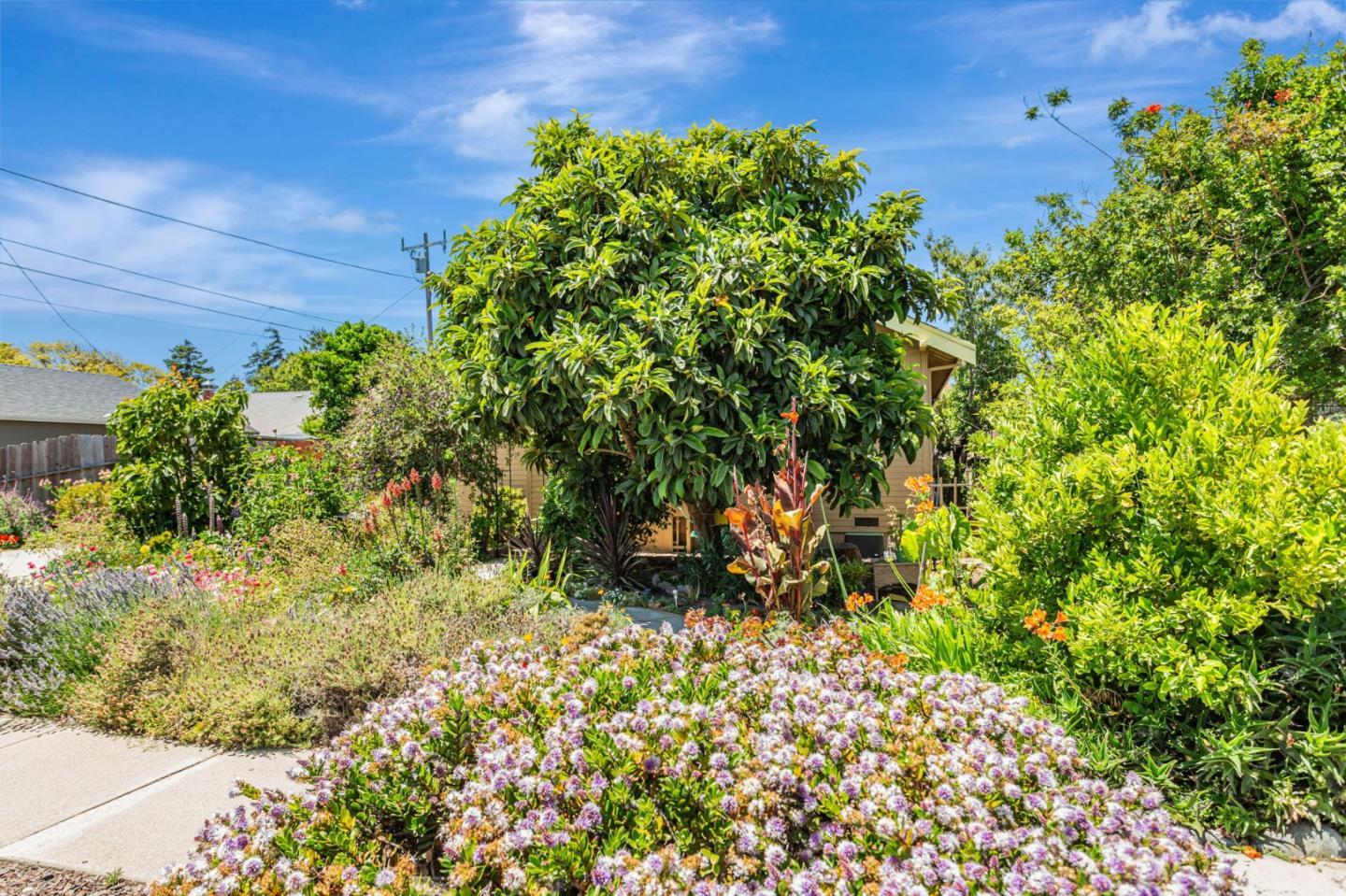89 Hatton Avenue Spreckels, CA 93962 - Photo 22 of 29 a view of a garden