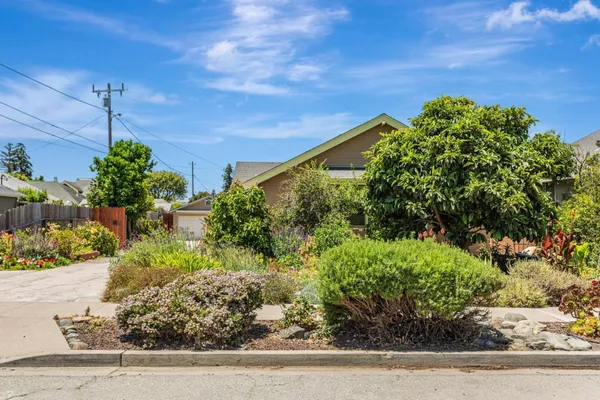 a view of garden with flowers