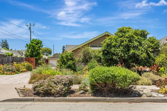 a view of garden with flowers