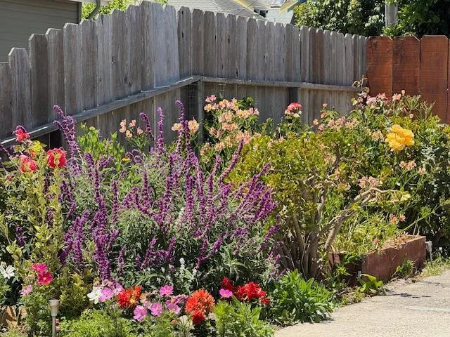 a view of a building with a garden
