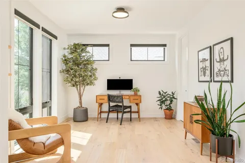 a living room with furniture and a potted plant